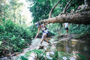 BIB: 
                            <button type="button" onclick="openModal(25436721)" class="btn btn-primary btn-sm float-right btn-popup" data-toggle="modal" data-target=".modal-high-quality">
                        <i class="fas fa-shopping-cart"></i> Add to Cart
                    </button>
                                            <button type="button" onclick="isThisMe(25436721, true)" class="btn btn-success btn-sm float-right btn-popup btn-isme hidden" data-toggle="tooltip" data-placement="bottom" title="นี่คือรูปของคุณใช่ไหม คลิกที่นี่เพื่อเอาเข้าอัลบั้ม">
                        <i class="fas fa-plus"></i> Add to album
                    </button>
                    <button type="button" onclick="isThisMe(25436721, false)" class="btn btn-warning btn-sm float-right btn-popup btn-isnotme hidden">
                        <i class="fas fa-ban"></i> Remove from album
                    </button>